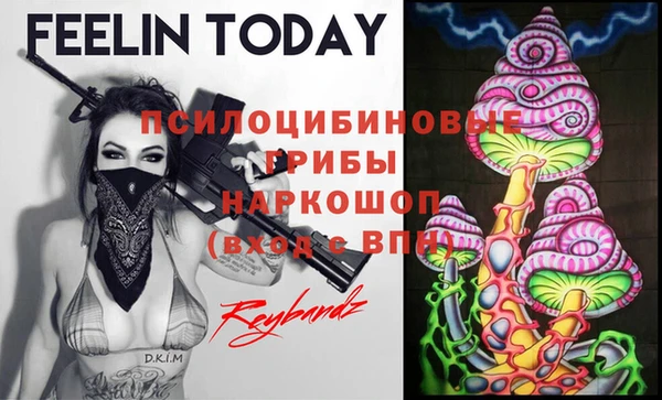 прущие грибы Алексин
