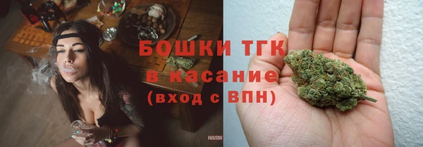 прущие грибы Алексин