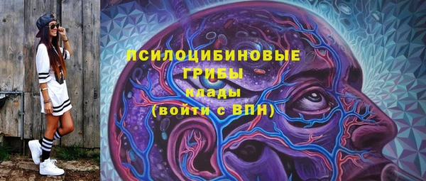 прущие грибы Алексин
